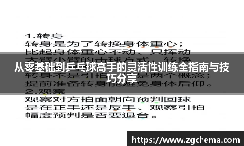 从零基础到乒乓球高手的灵活性训练全指南与技巧分享