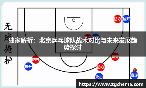 独家解析：北京乒乓球队战术对比与未来发展趋势探讨